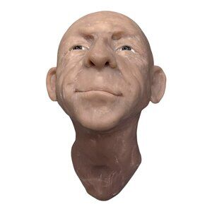 Lulu Tatum 2000 Hyper Realistic Anatomical Doll Head Man Sculpture RARE Handmade